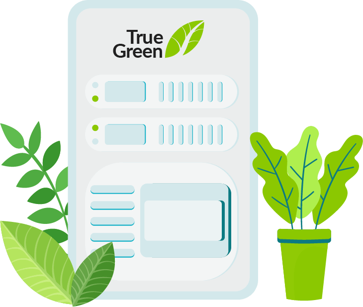 True Green local and global technology to secure your website online